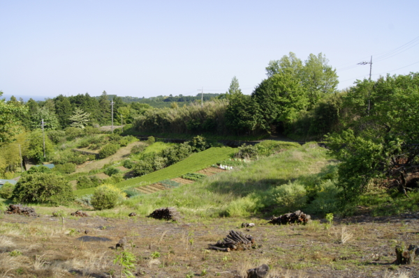 f:id:goldhead:20110518020013j:image f:id:goldhead:20110518020013j:image