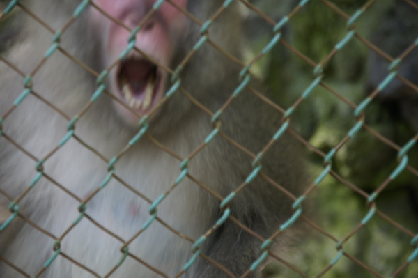 f:id:goldhead:20110523001134j:image f:id:goldhead:20110523001134j:image