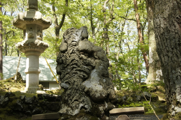 f:id:goldhead:20110523001136j:image f:id:goldhead:20110523001136j:image