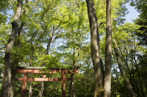 f:id:goldhead:20110523001137j:image f:id:goldhead:20110523001137j:image