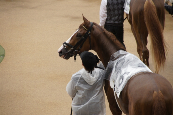 f:id:goldhead:20110529233812j:image