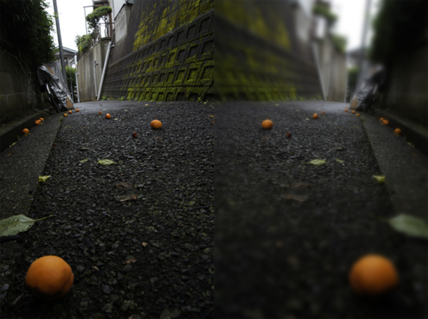 f:id:goldhead:20110621130038j:image f:id:goldhead:20110621130038j:image