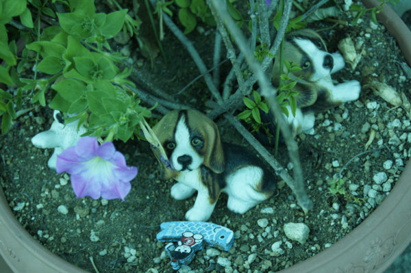 f:id:goldhead:20110717232415j:image