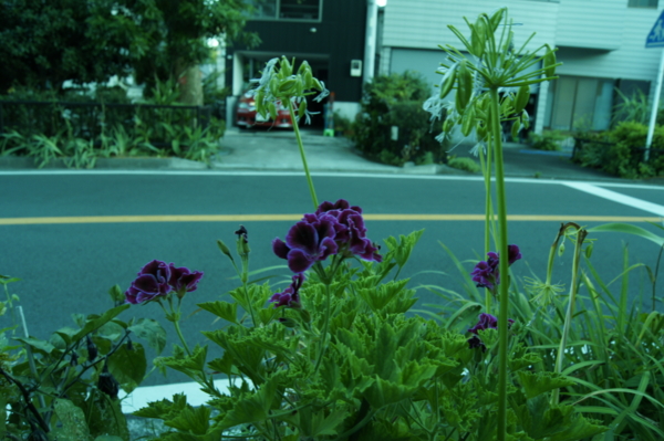 f:id:goldhead:20110717232424j:image