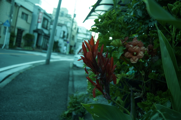 f:id:goldhead:20110717232425j:image