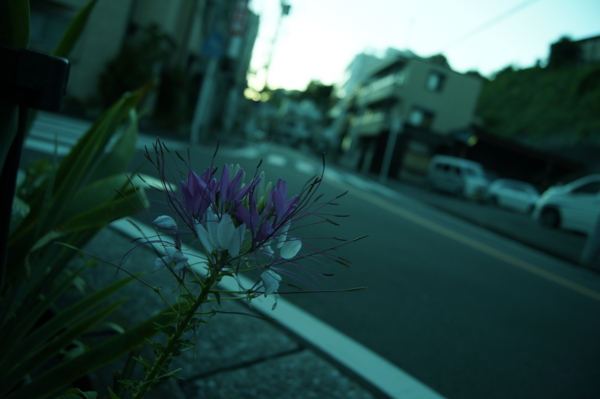 f:id:goldhead:20110717232426j:image