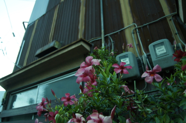f:id:goldhead:20110717232440j:image