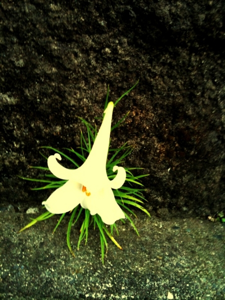 f:id:goldhead:20110827030702j:image:right:w300