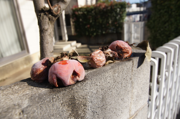 f:id:goldhead:20111117125101j:image