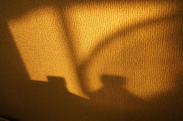 f:id:goldhead:20111121010418j:image