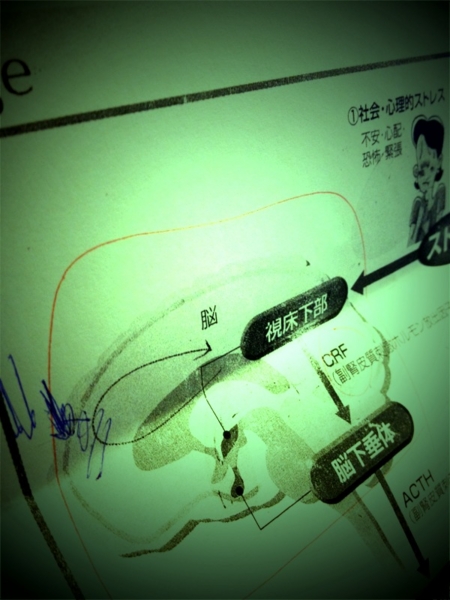 f:id:goldhead:20111203233717j:image:w300