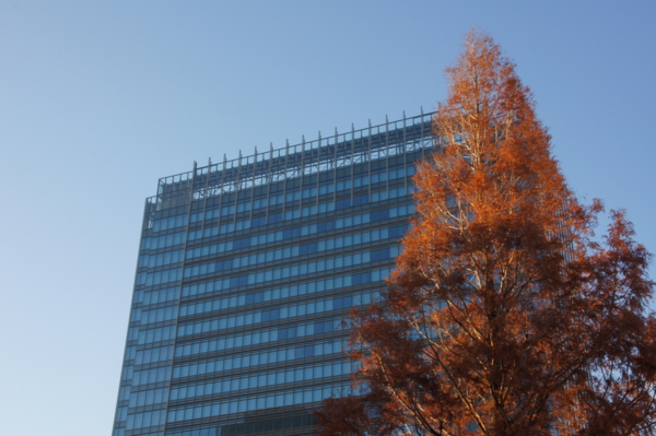 f:id:goldhead:20111225021051j:image
