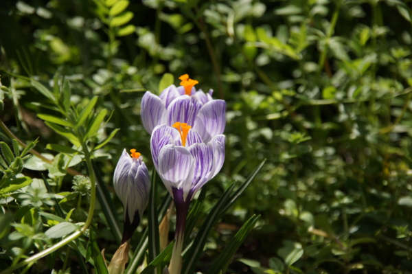 f:id:goldhead:20120401203209j:image f:id:goldhead:20120401203209j:image