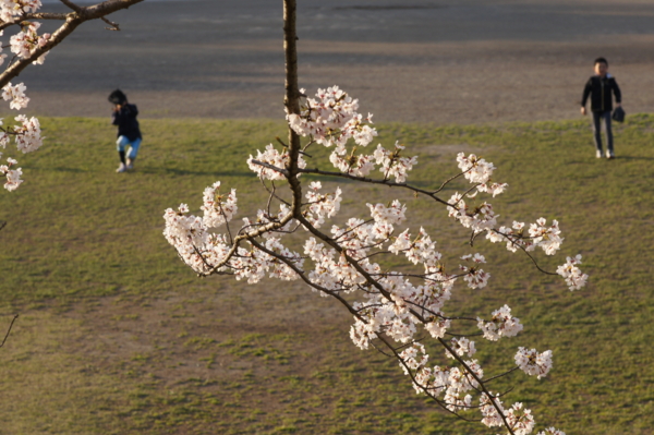 f:id:goldhead:20120421015746j:image