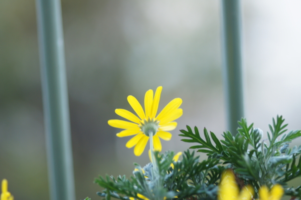 f:id:goldhead:20120421015747j:image