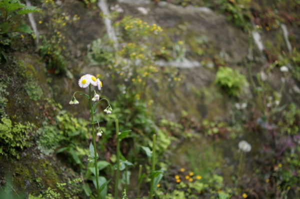 f:id:goldhead:20120430213631j:image f:id:goldhead:20120430213631j:image