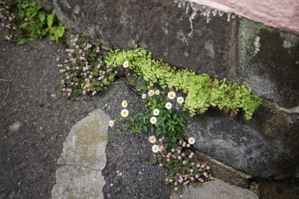f:id:goldhead:20120430213632j:image f:id:goldhead:20120430213632j:image