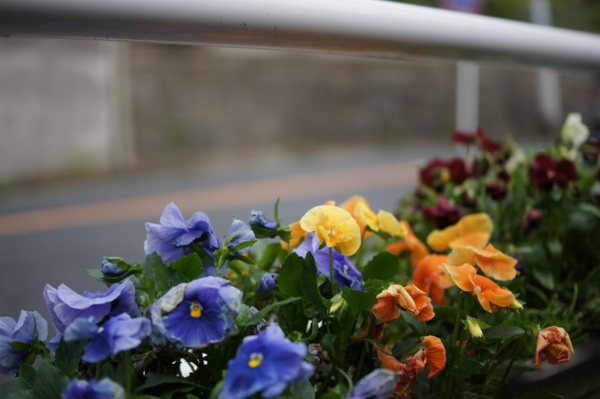 f:id:goldhead:20120430213633j:image f:id:goldhead:20120430213633j:image
