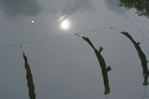 f:id:goldhead:20120430213638j:image f:id:goldhead:20120430213638j:image