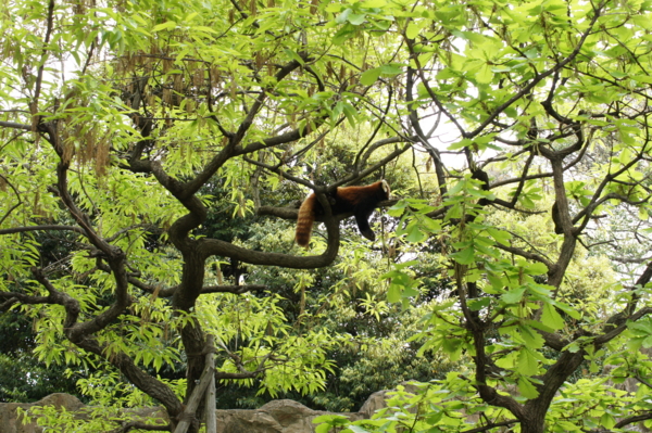 f:id:goldhead:20120430213643j:image f:id:goldhead:20120430213643j:image