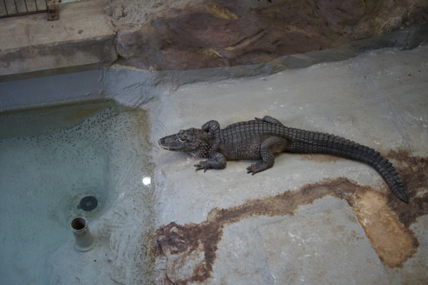 f:id:goldhead:20120430213644j:image f:id:goldhead:20120430213644j:image