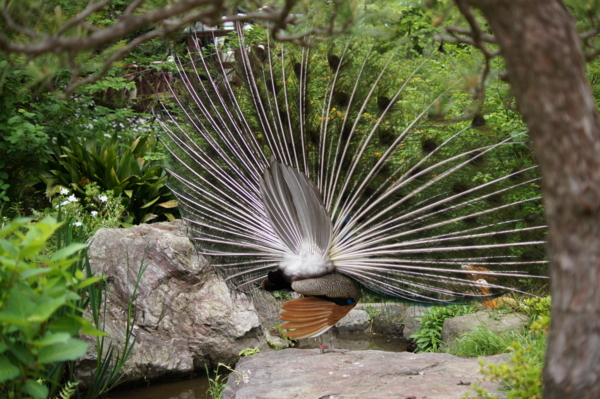 f:id:goldhead:20120430213649j:image f:id:goldhead:20120430213649j:image