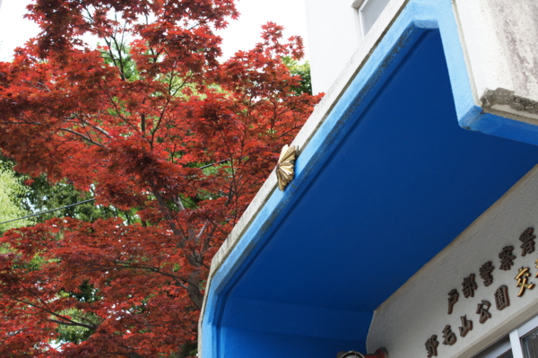 f:id:goldhead:20120430213653j:image f:id:goldhead:20120430213653j:image