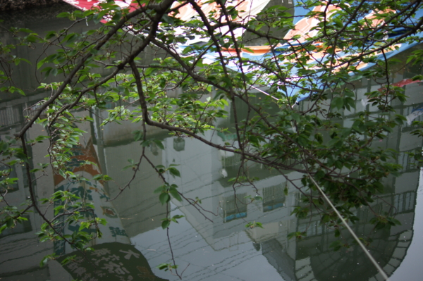 f:id:goldhead:20120430213656j:image f:id:goldhead:20120430213656j:image