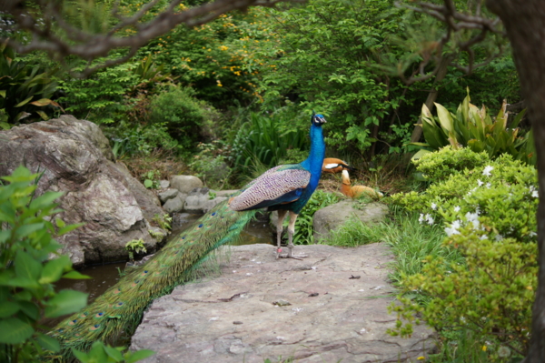 f:id:goldhead:20120430225305j:image f:id:goldhead:20120430225305j:image