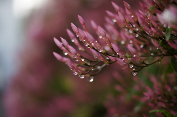 f:id:goldhead:20120505011705j:image