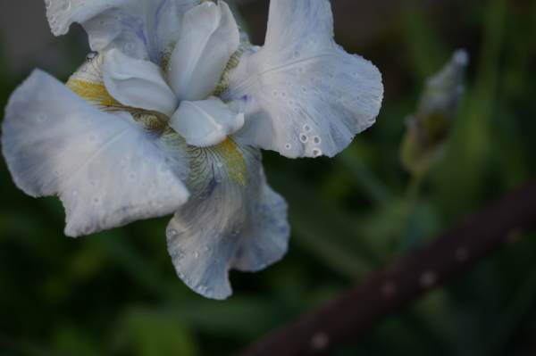 f:id:goldhead:20120510010840j:image:w600