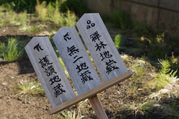 f:id:goldhead:20120513172844j:image