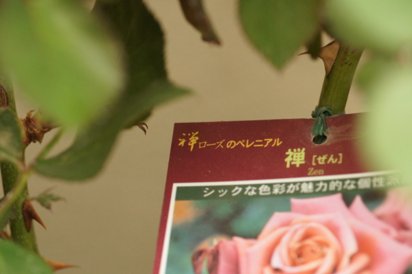 f:id:goldhead:20120513172856j:image