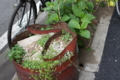 20120513192151