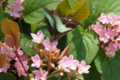 20120513192155