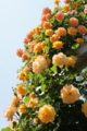 20120519224341
