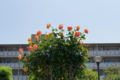 20120519224342
