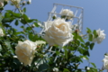 20120519224343