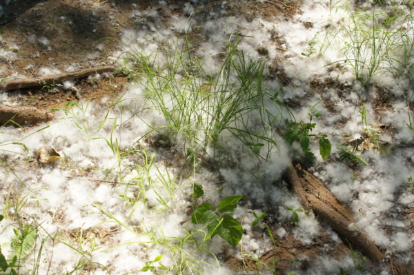 f:id:goldhead:20120519224346j:image f:id:goldhead:20120519224346j:image