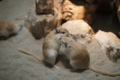 20120519224351