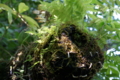 20120519224352