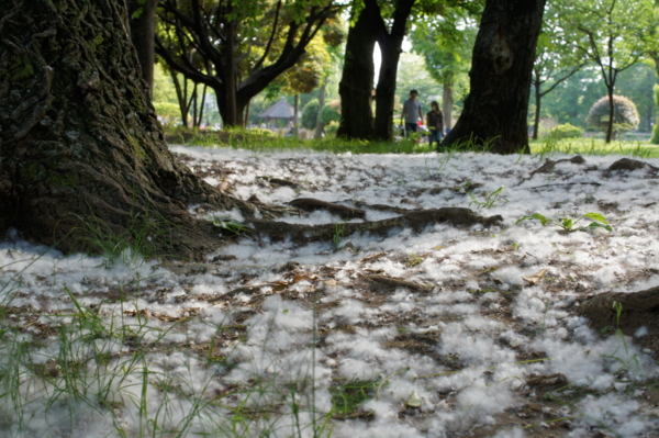 f:id:goldhead:20120519224358j:image f:id:goldhead:20120519224358j:image