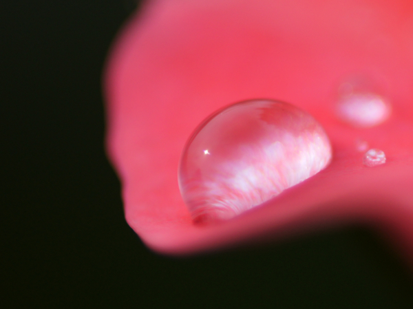 f:id:goldhead:20120521123213j:image