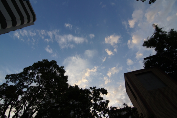 f:id:goldhead:20120613203313j:image f:id:goldhead:20120613203313j:image