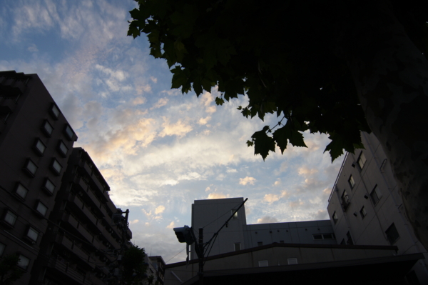f:id:goldhead:20120613203351j:image f:id:goldhead:20120613203351j:image