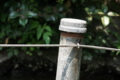20120701002416