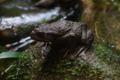 20120701002421