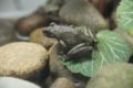 20120701002422