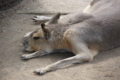 20120701002424