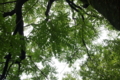 20120701002425